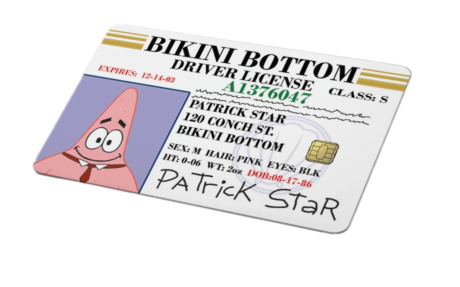 Bikini Bottom Driver License Card Skin | Funny Cartoon Sticker - 4 Pack Anycustomproduct.com