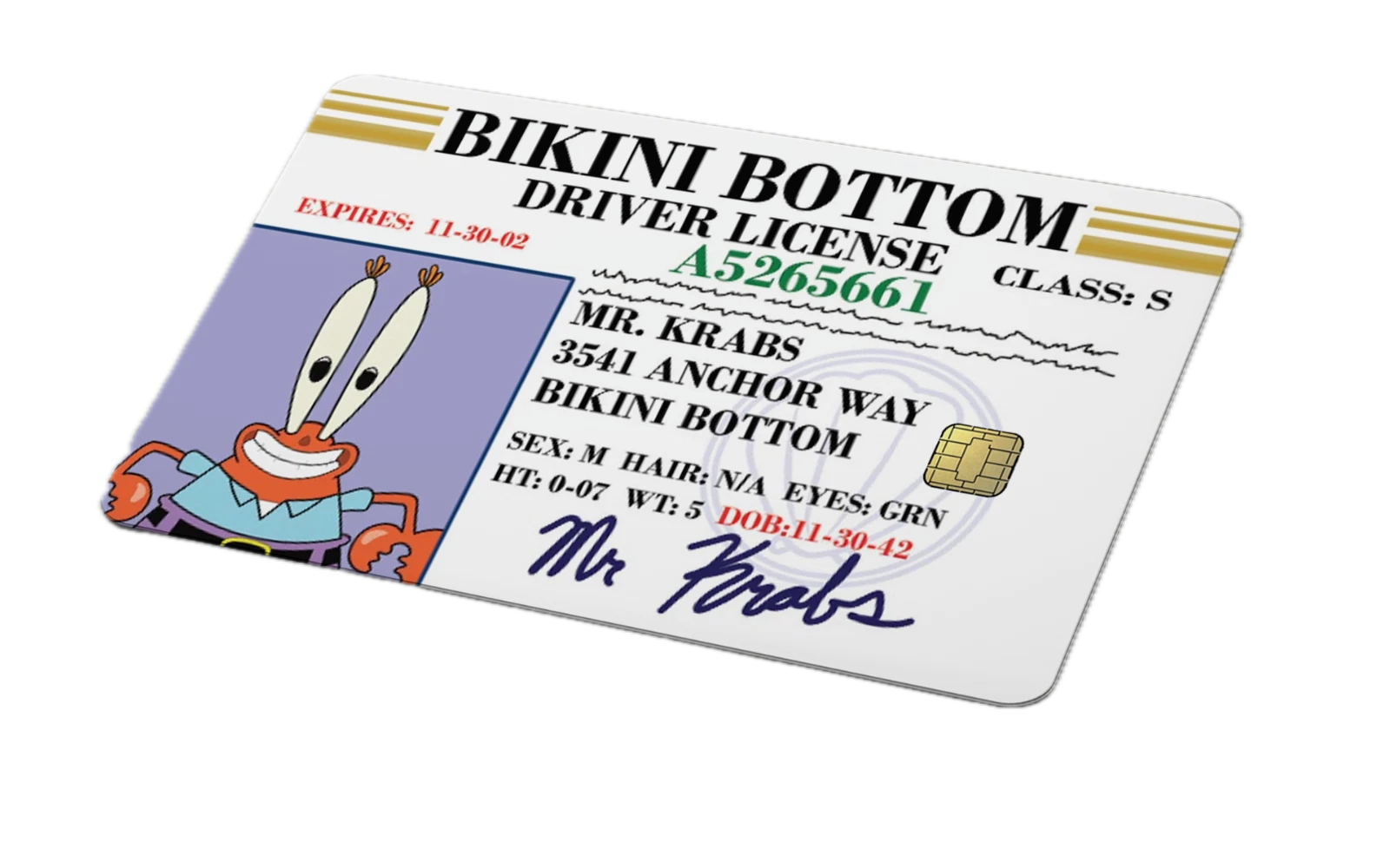 Bikini Bottom Driver License Card Skin | Funny Cartoon Sticker - 4 Pack Anycustomproduct.com