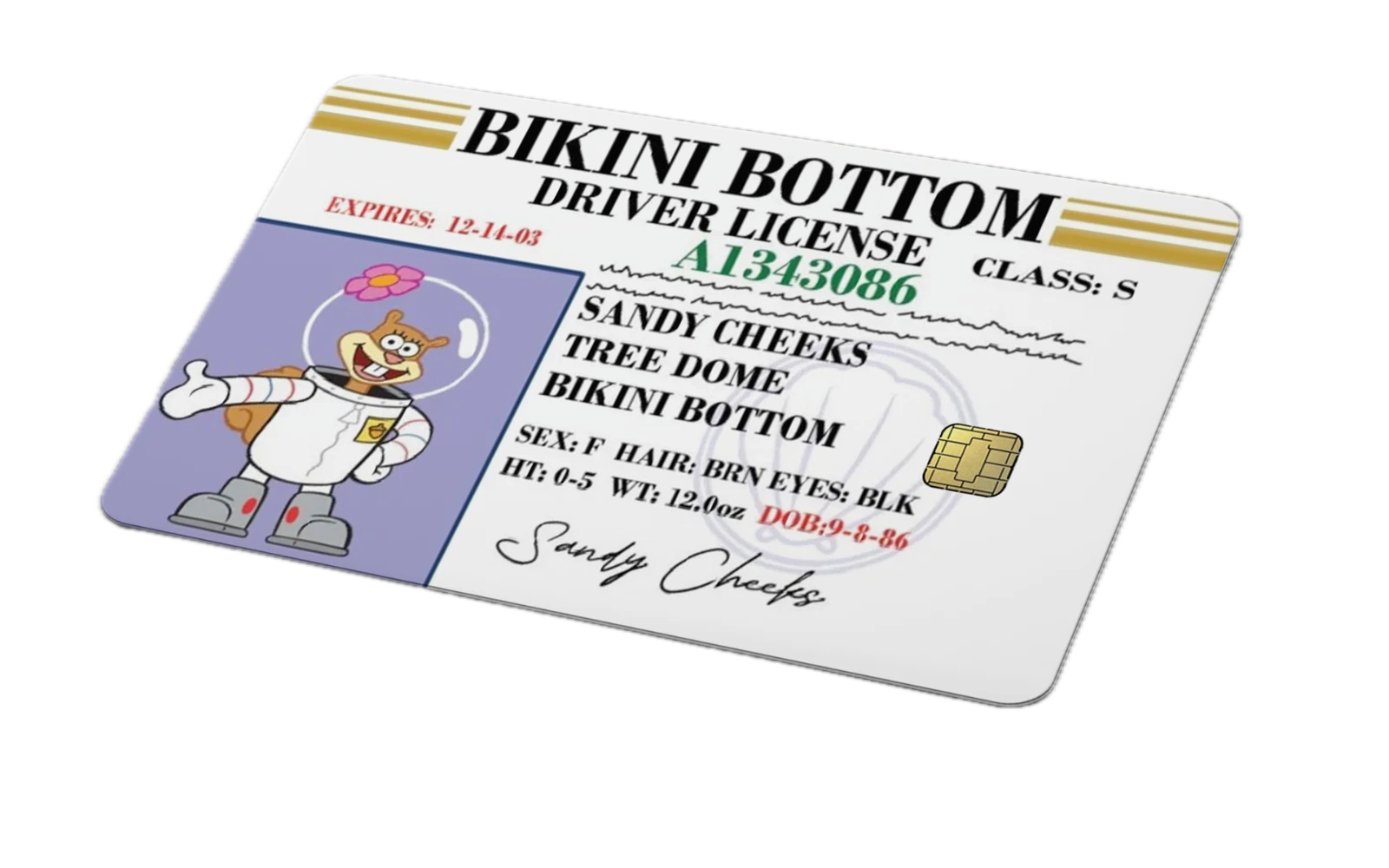 Bikini Bottom Driver License Card Skin | Funny Cartoon Sticker - 4 Pack Anycustomproduct.com