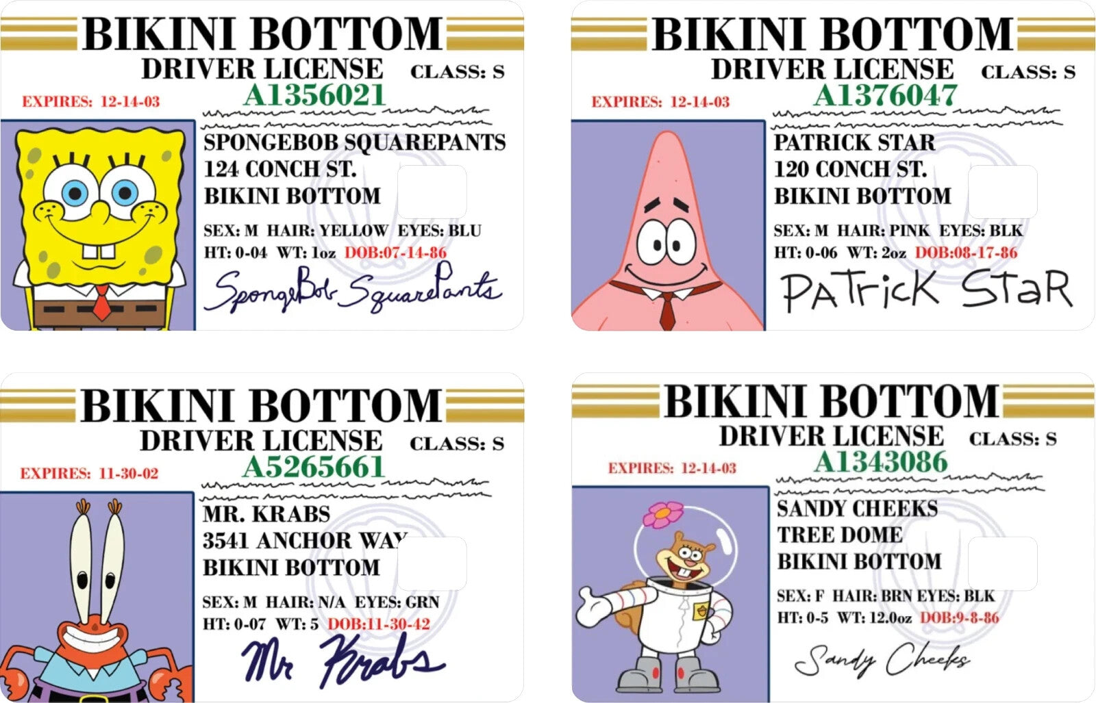 Bikini Bottom Driver License Card Skin | Funny Cartoon Sticker - 4 Pack Anycustomproduct.com