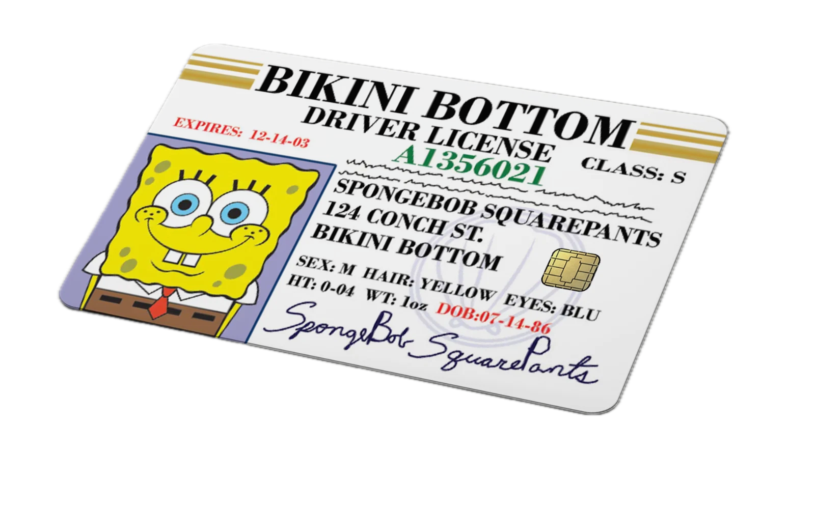 Bikini Bottom Driver License Card Skin | Funny Cartoon Sticker - 4 Pack Anycustomproduct.com